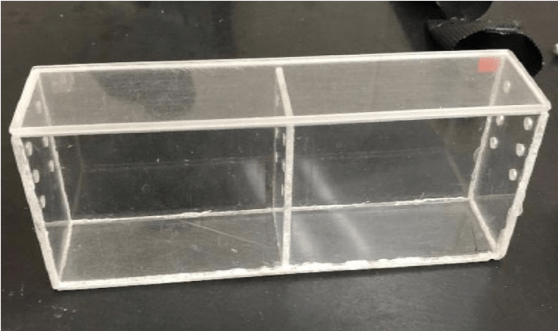 An image of the cricket mating chamber. It is a translucent plastic box with air holes on the sides. 