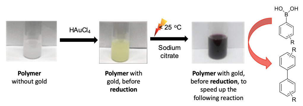 The steps necessary to make the catalyst. It starts with a polymer without gold (opaque white solution), then a chemical compound that contains gold is added to the solution (HAuCl4) to create a polymer with gold (a yellow opaque solution). Then, sodium citrate is added to the solution to create the purple opaque solution from the previous figure. This is the solution that goes into the reaction to create biphenyl. 