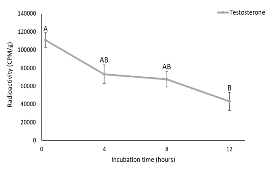 A data figure that shows the amount of radiolabeled testosterone over time. The x-axis shows Incubation Time (hours). The y-axis shows Radioactivity (CPM/g). The figure shows that testosterone is significantly higher at zero hours (it falls between 100,000 and 120,000 CPM/g) than at 12 hours (it falls between 40,000 and 60,000 CPM/g). 