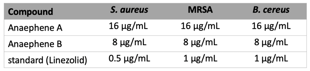 A table of MIC values for the chemicals tested. Anaephene A has an MIC of 16 micrograms/mL for each bacteria. Anaephene B has an MIC of 8 micrograms/mL for each bacteria. Linezolid has an MIC value of 0.5-1 micrograms/mL for each bacteria.