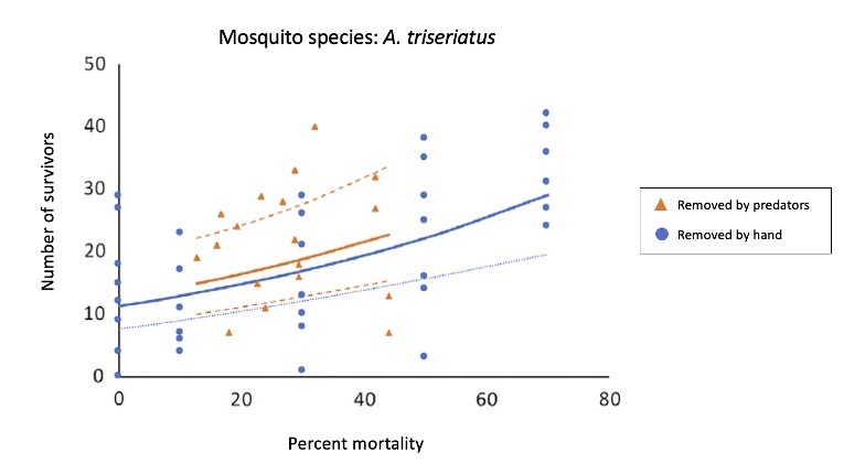 A data figure that shows the number of A. triseriatus mosquitos that survived the experiment. In the experiment, more mosquitos were removed by hand than when predators were added into the container. Regardless, this figure shows that removing individuals increased the population size.