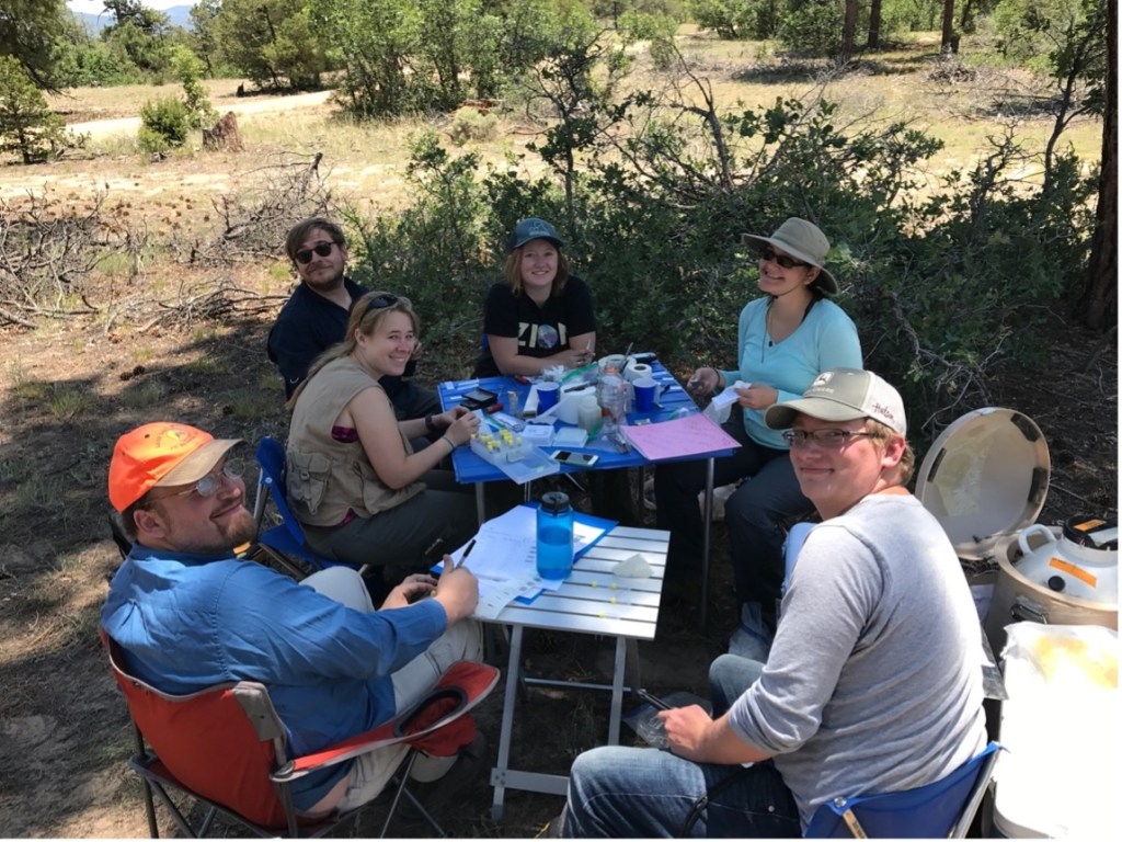 A picture of six people sitting around two small tables in the piñon-juniper woodlands. There are test tubes on the table and a nitrogen tank in the background.