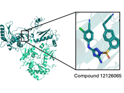 How looking at protein structure can improve drug&nbsp;design