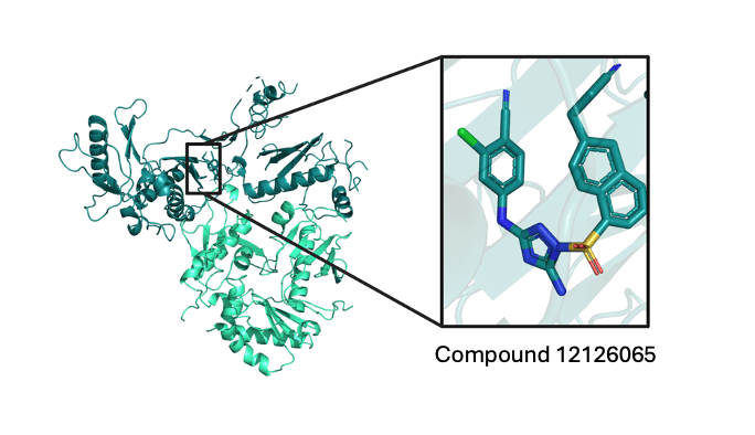 The protein structure for HIV-RT